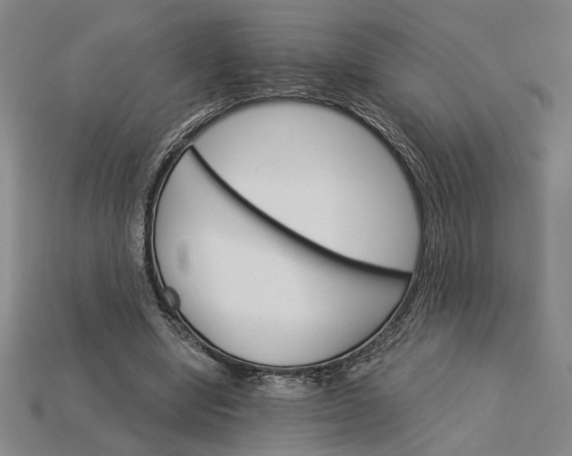 X0000115270442200911131811