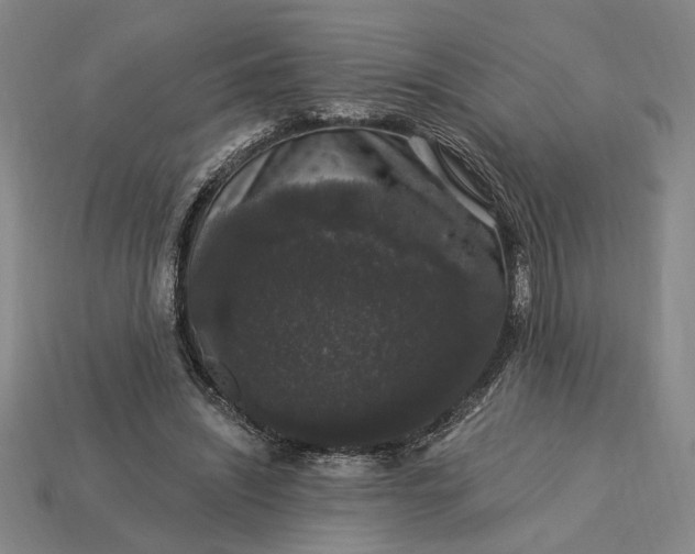 X0000115270444200911131811