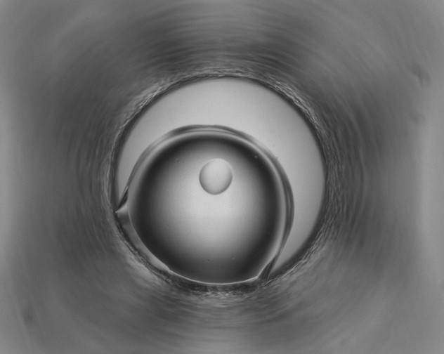 X0000115270445200911131811
