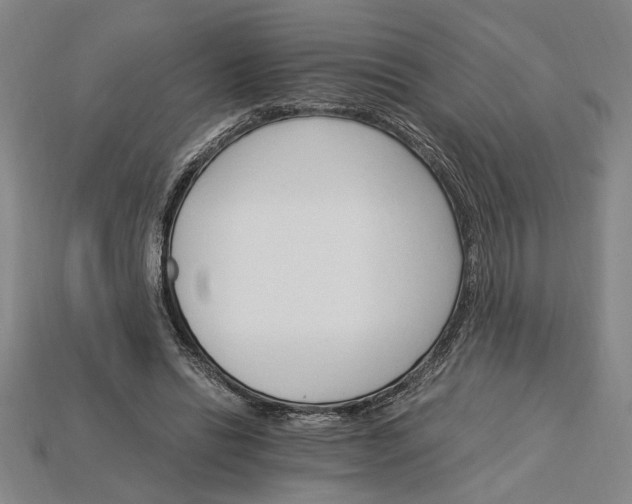 X0000115270446200911131811
