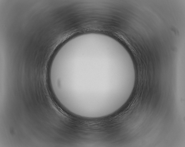 X0000115270447200911131811