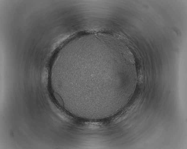 X0000115270448200911131811