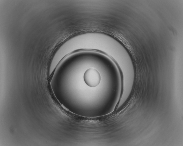 X0000115270449200911131811