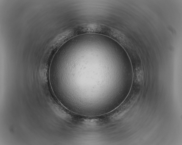 X0000115270450200911131811