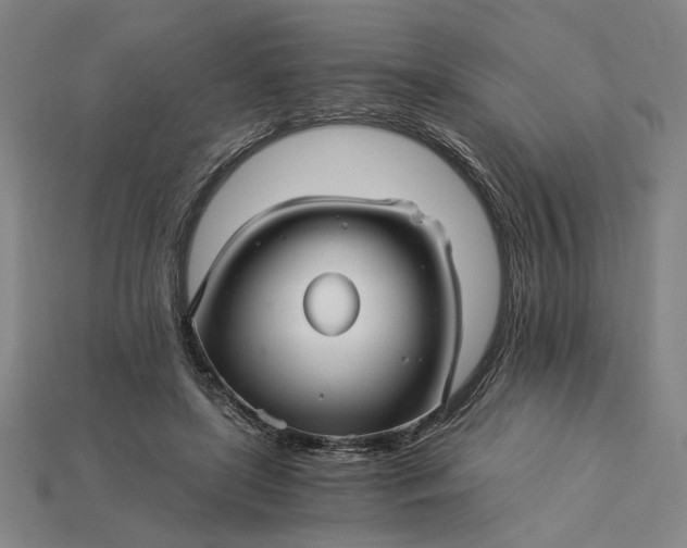 X0000115270451200911131811