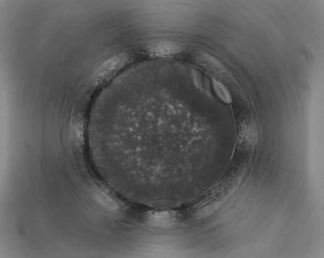 X0000115270452200911131811