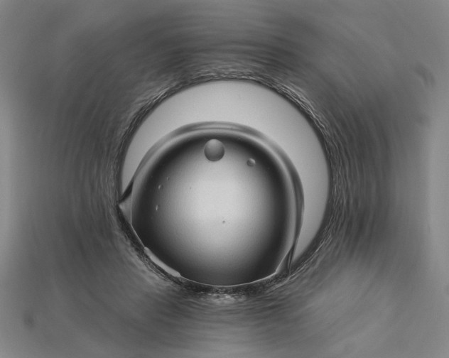 X0000115270453200911131811