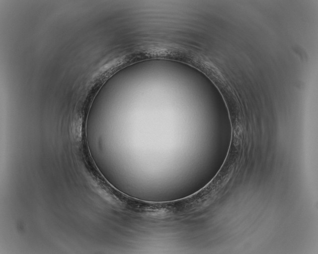 X0000115270454200911131811
