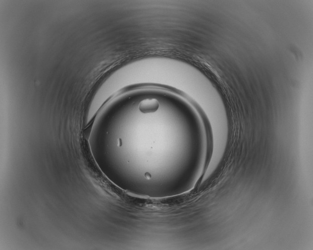 X0000115270455200911131811