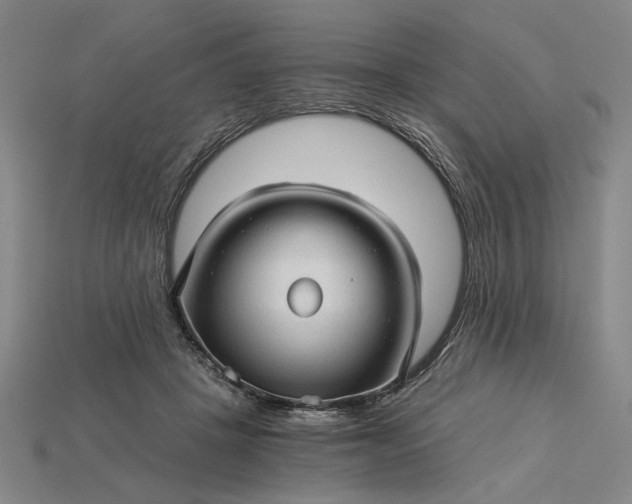 X0000115270457200911131811