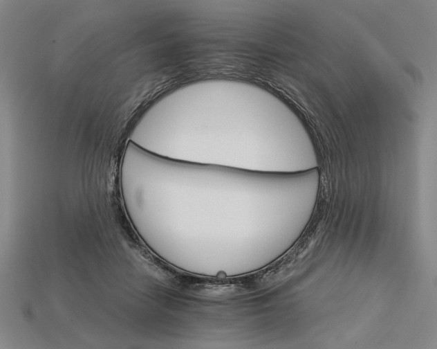 X0000115270458200911131811
