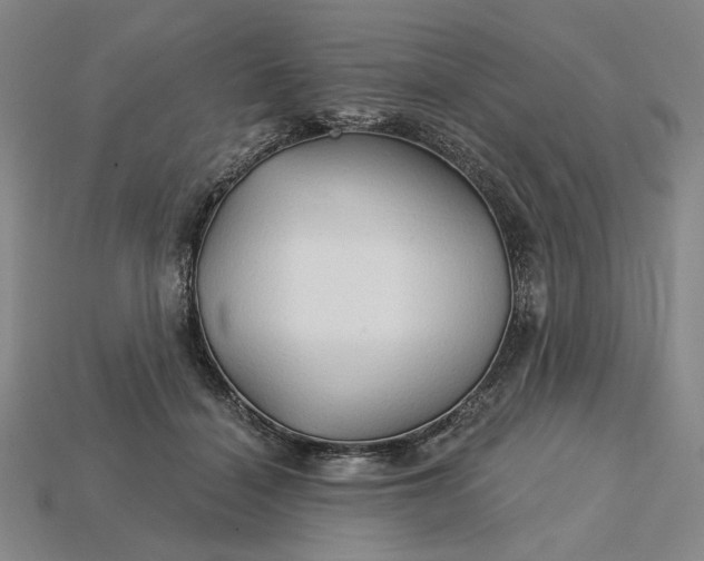 X0000115270460200911131811