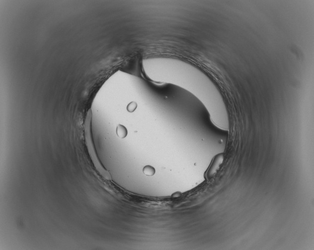X0000115270465200911131811