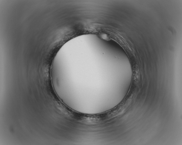 X0000115270466200911131811