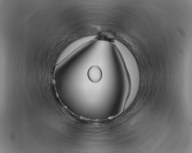 X0000115270467200911131811