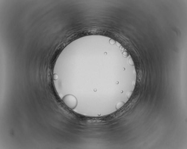 X0000115270470200911131811
