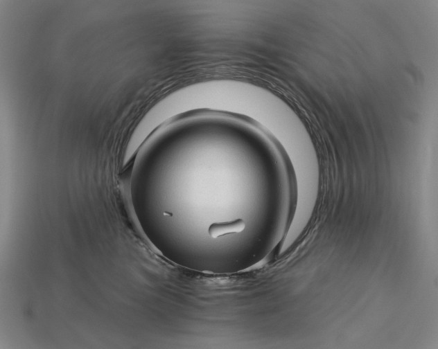 X0000115270473200911131811