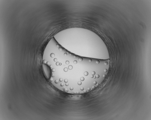 X0000115270474200911131811
