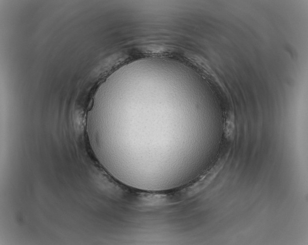 X0000115270476200911131811