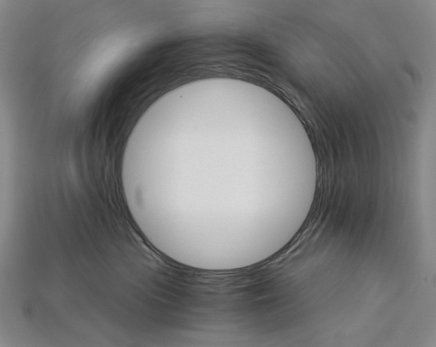 X0000115270477200911131811