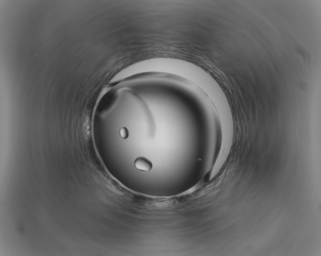 X0000115270479200911131811