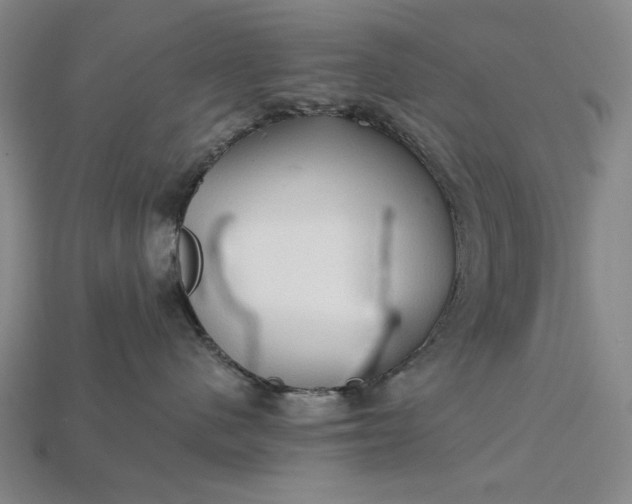X0000115270480200911131811