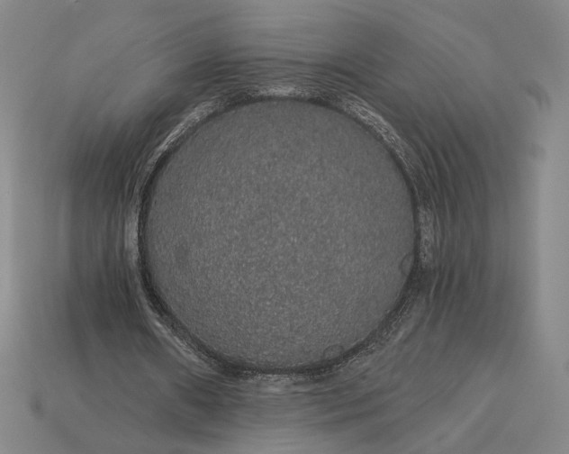 X0000115270482200911131811