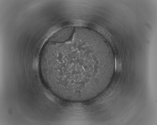X0000115270483200911131811