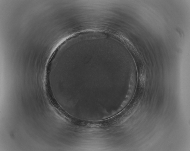 X0000115270484200911131811