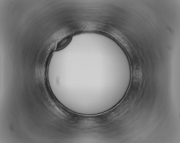 X0000115270485200911131811