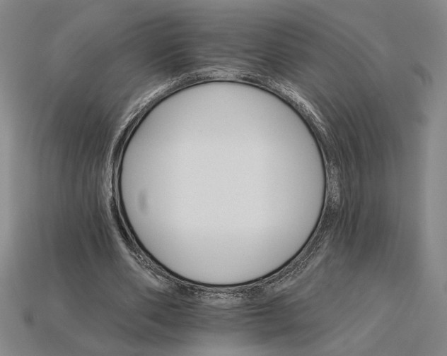X0000115270486200911131811