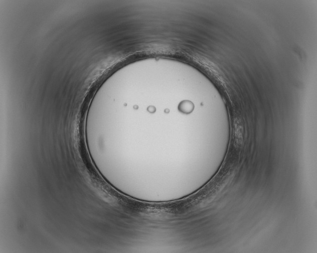 X0000115270487200911131811