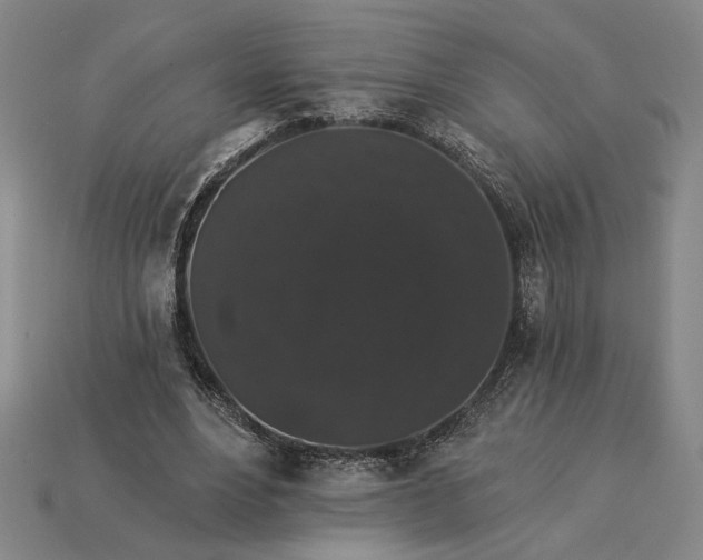 X0000115270488200911131811