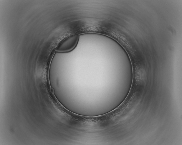 X0000115270489200911131811