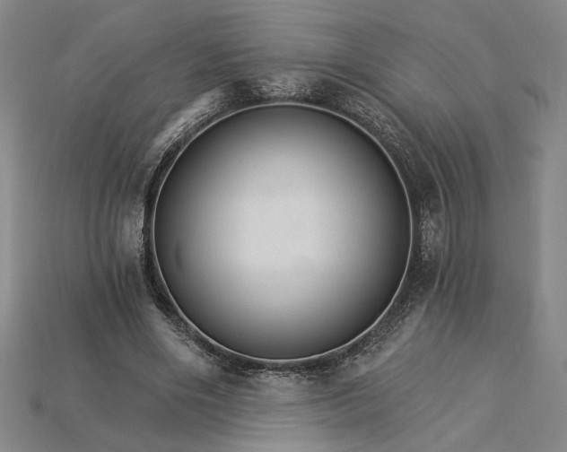 X0000115270490200911131811