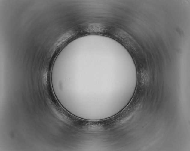 X0000115270491200911131811