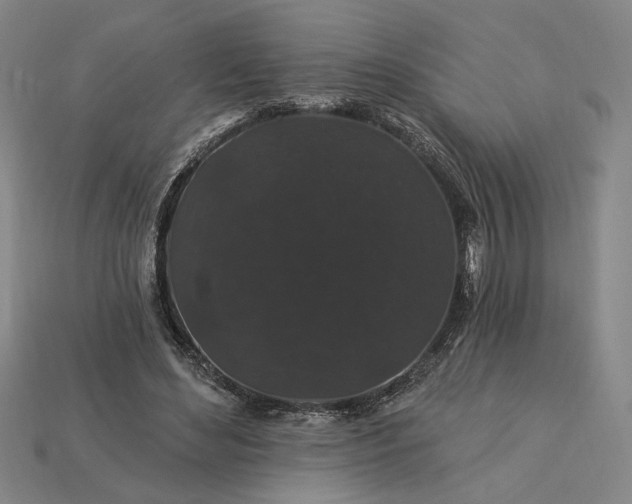 X0000115270492200911131811