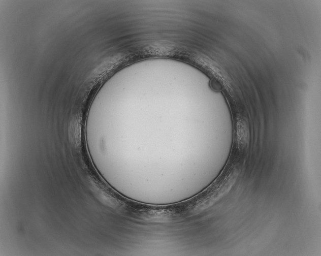 X0000115270493200911131811