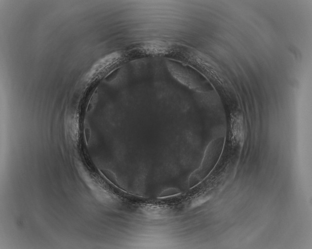 X0000115270494200911131811