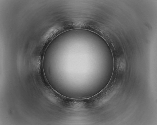 X0000115270495200911131811