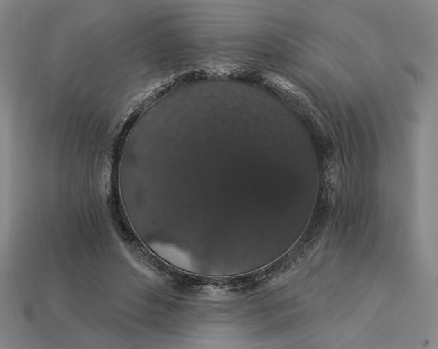 X0000115270496200911131811