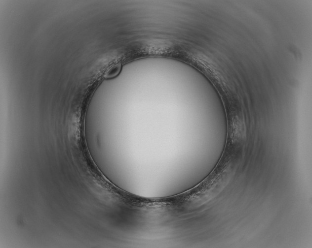 X0000115270497200911131811