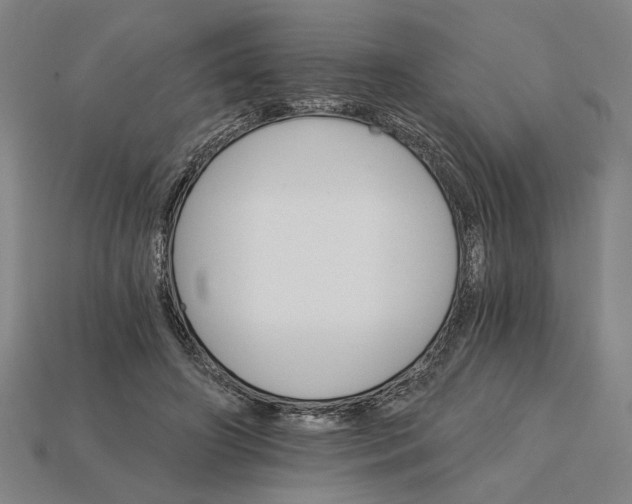 X0000115270498200911131811