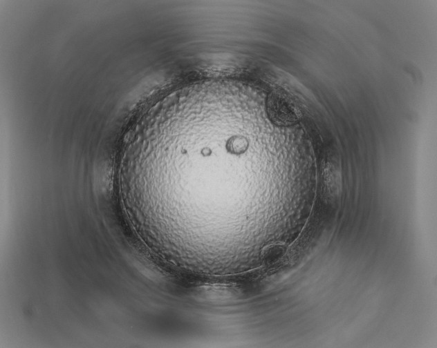 X0000115270499200911131811
