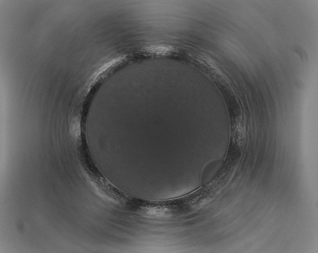 X0000115270500200911131811