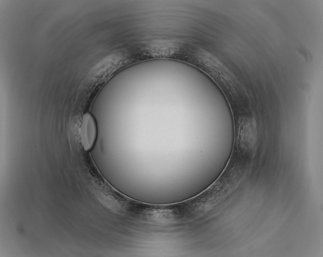 X0000115270501200911131811