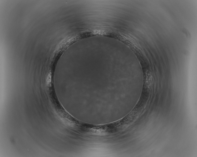 X0000115270502200911131811
