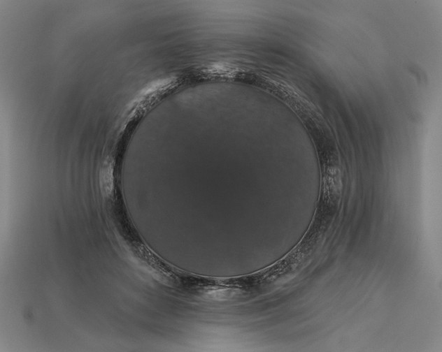 X0000115270504200911131810