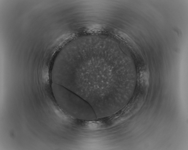 X0000115270508200911131810