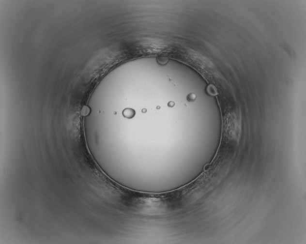X0000115270509200911131810